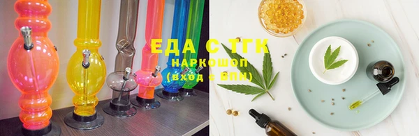 сатива Новозыбков