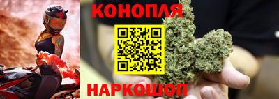 гидра Кизляр
