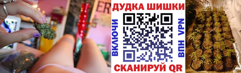 мориарти клад  Шебекино  МАРИХУАНА планчик  mega ссылки 